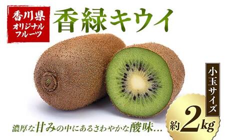 【先行予約2026年12月～2027年3月頃お届け】 香緑キウイ (小玉サイズ) 約2kg フルーツ 果物 くだもの キウイ 香緑 小玉 デザート キウイフルーツ 食品 名産 四国 F5J-670