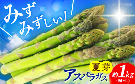 【先行予約】アスパラガス (夏芽) 約1kg 【2026年7月初旬〜9月中旬発送分】《小値賀町》【ながさき西海農協小値賀地区園芸部会】 [DAT005]