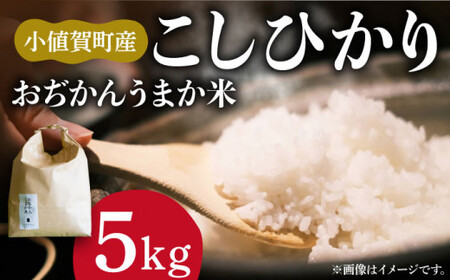 【令和7年度産】おぢかんうまか米（小値賀町産こしひかり 5kg ・精白米） [DAB014] コシヒカリ