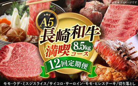 【12回定期便】長崎和牛満喫定期便 牛肉切り落とし [DAR039] 牛肉定期便