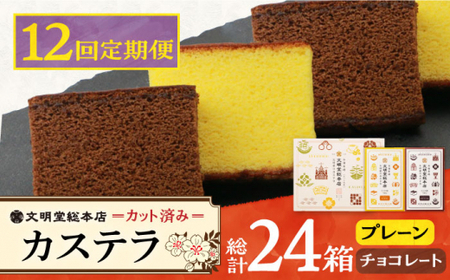 【12回定期便】 カステラ 2種 プレーン/チョコレート  [DBF018] カステラ