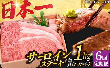 6回定期便 A5長崎和牛特選サーロインステーキ 250g×4  [DBJ016] 牛肉 焼肉 ステーキ 