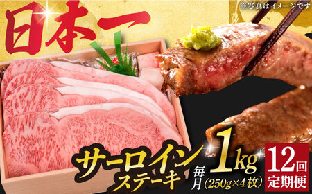 12回定期便 A5長崎和牛特選サーロインステーキ 250g×4  [DBJ017] 牛肉 焼肉 ステーキ