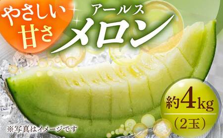 【先行予約】アールスメロン 約4kg（2玉） [DAT002] 8月発送 高級メロン マスクメロン 果物 フルーツ 夏 ギフト 