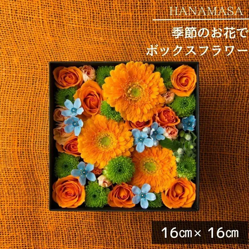 季節のお花でボックスアレンジメント（16cm×16cm）【 神奈川県 小田原市 花 花 】