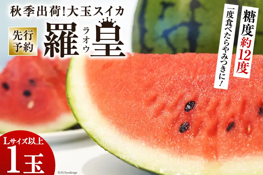 CH053【令和8年度出荷分】秋季出荷！大玉スイカ～羅皇（ラオウ）～（Lサイズ6kg以上×1玉入）[長崎県 島原市]
