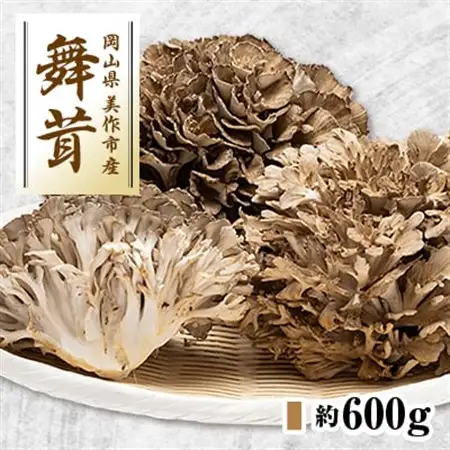 舞茸　約600g_野菜  きのこ _【配送不可地域：離島】【1154814】