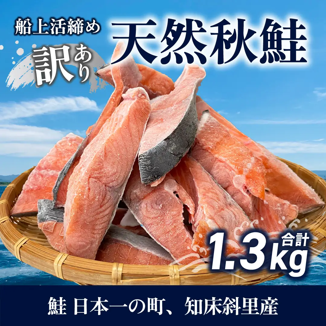 【先行受付】【訳あり】知床斜里産 天然秋鮭の切り身 約1.3kg 船上活締め