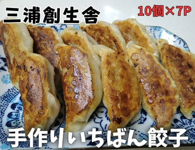 三浦創生舎 の いちばん 餃子 （ ハートフルさと納税 ） M101-001 冷凍 加工品