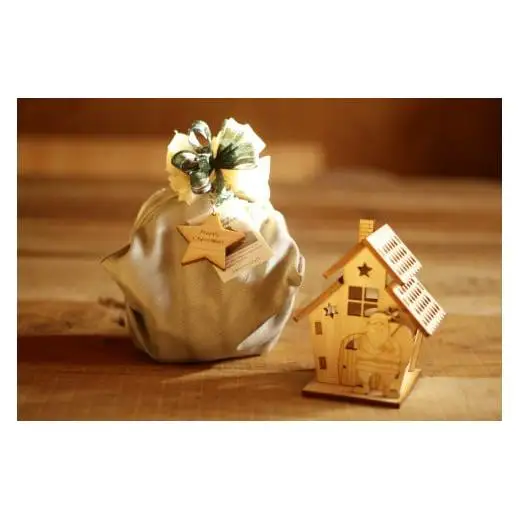 あかりの灯るクリスマスのおうち（完成品）[945]
