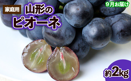【ご家庭用】山形のピオーネ 優品 約2kg(2～6房)[9月お届け]【令和8年産先行予約】FS23-645 くだもの 果物 フルーツ 山形 山形県 山形市 2026年産