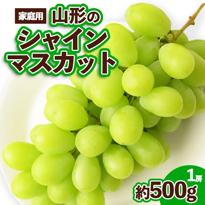 【ご家庭用】山形のシャインマスカット 優品 1房 約500g[9月中旬～10月中旬お届け]【令和8年産先行予約】FS23-648 くだもの 果物 フルーツ 山形 山形県 山形市 2026年産