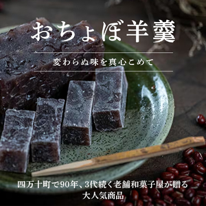 食べやすい一口サイズ！おちょぼ羊羹の詰め合わせ　Iyy-B03 ようかん 和菓子 お菓子 おやつ ギフト 贈り物