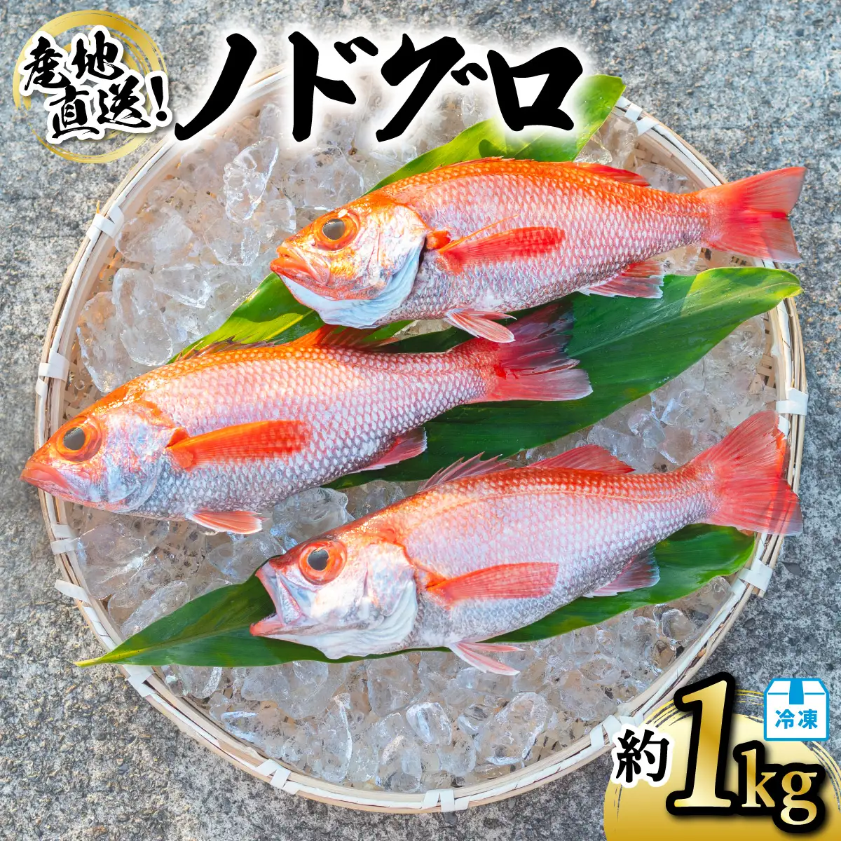 ノドグロ 約1kg 産地直送 冷凍 下処理済 アカムツ のどぐろ 高級魚 水揚げ時重量約1kg 下処理後約800g
