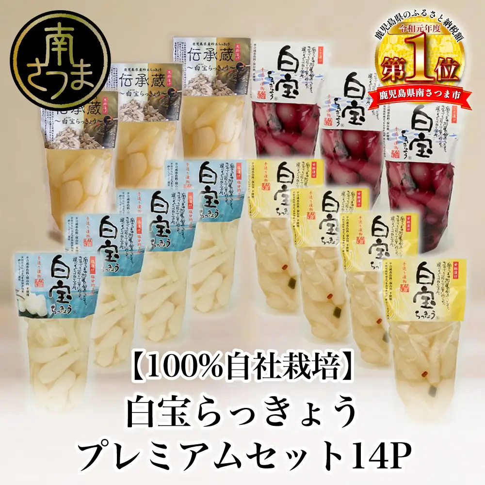 【鹿児島県産】白宝らっきょうプレミアムセット 14P（酢漬け・塩漬け各4P、しそ漬け・黒酢漬け各3P）