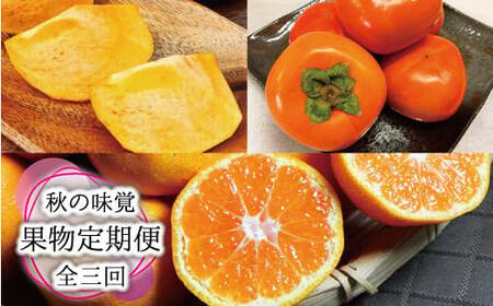 ☆レビューキャンペーン開催中☆ かき 柿 みかん 柑橘 フルーツ 果物 定期便 /【全3回定期便】秋の味覚 果物定期便　柿・みかん　旬のフルーツを毎月お届け♪【tkb130】