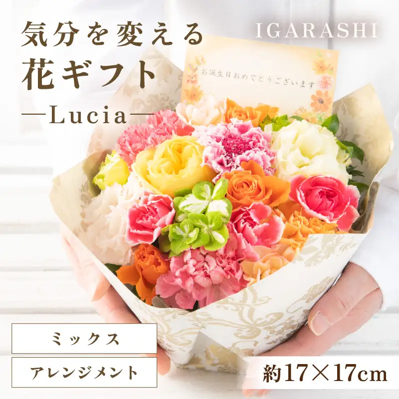 気分を変える花ギフト -Lucia- (アレンジメント・ミックス)／ 誕生日 母の日 父の日 クリスマス 結婚祝い 結婚記念日 サプライズ お祝い アレンジメント 花束 プレゼント 贈り物 フラワーアレンジメント フラワーギフト 生花 お花 花屋 [aw062-a002_01]