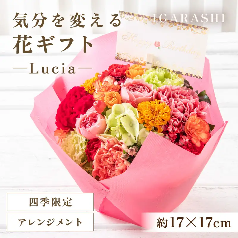 気分を変える花ギフト -Lucia- (アレンジメント・四季限定アイテム)／ 誕生日 母の日 父の日 クリスマス 結婚祝い 結婚記念日 サプライズ お祝い アレンジメント 花束 プレゼント 贈り物 フラワーアレンジメント フラワーギフト 生花 お花 花屋 [aw062-a002_09]