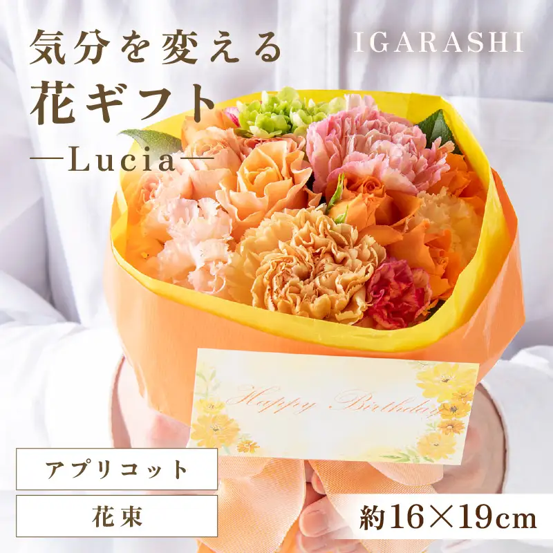 気分を変える花ギフト -Lucia- (花束・アプリコット)／ 誕生日 母の日 父の日 クリスマス 結婚祝い 結婚記念日 サプライズ お祝い アレンジメント 花束 プレゼント 贈り物 フラワーアレンジメント フラワーギフト 生花 お花 花屋 [aw062-a002_06]