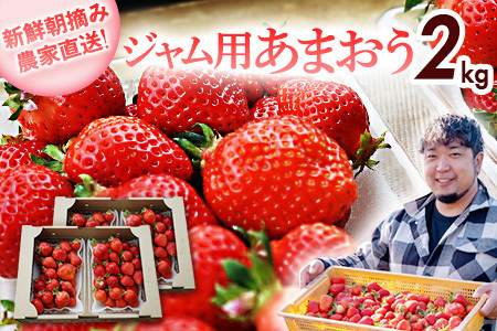 いちご ジャム用あまおういちご 2kg 【2月後半～5月前半発送】BD07