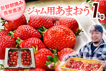 ジャム用あまおう1kg ※2026年2月中旬～5月10日頃にかけて順次出荷予定 BD08