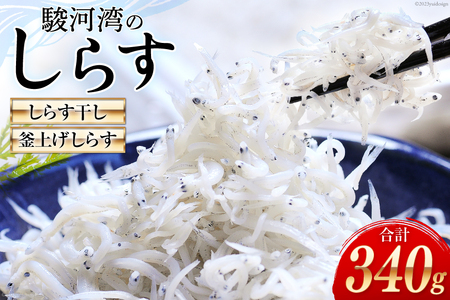 駿河湾産 しらす干し100g×1 釜上げしらす120g×2 [マルあ水産 静岡県 吉田町 22424638]
