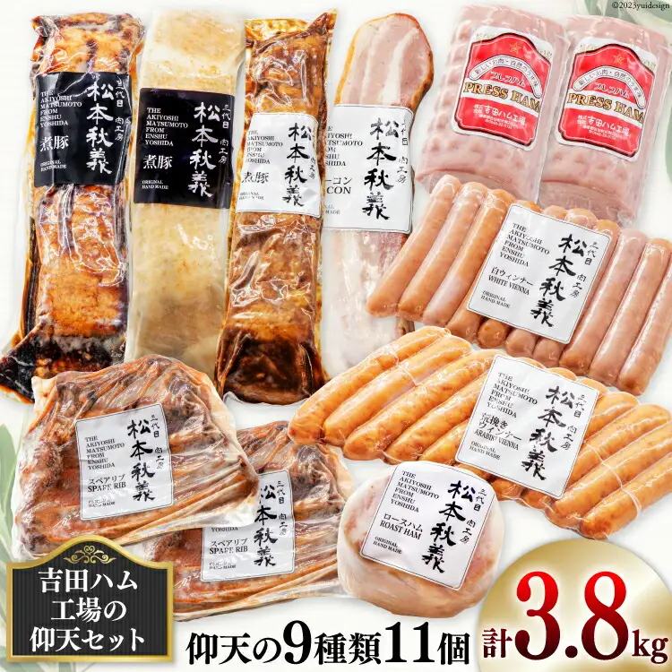 【吉田ハム工場の仰天セット】3.8kg 仰天の9種類 [吉田ハム工場（三代目！肉工房松本秋義） 静岡県 吉田町 1116196]