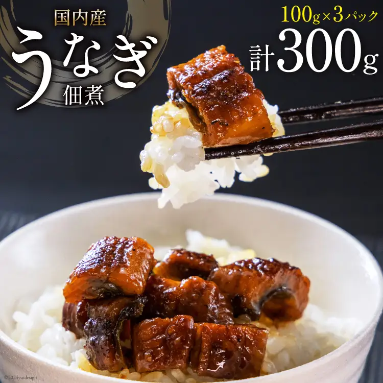 うなぎ 佃煮 国産 静岡 100g ×3パック 計300g [静岡鰻販売 静岡県 吉田町 22424152]