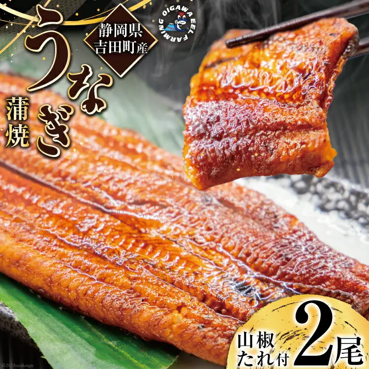 うなぎ 国産 鰻 蒲焼 150g以上×2尾 [22424464]