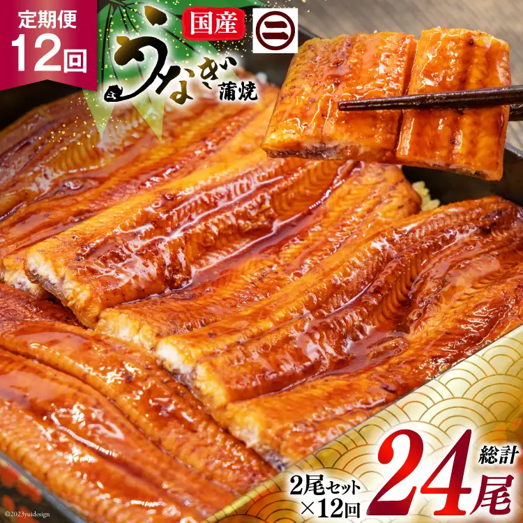 うなぎ 国産 蒲焼き 2尾 12回定期便 [22424423]