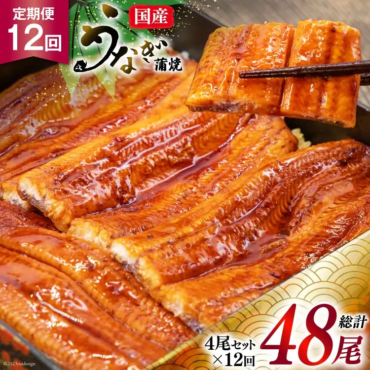 うなぎ 国産 鰻 蒲焼き 4尾 12回 定期便 [5024122]