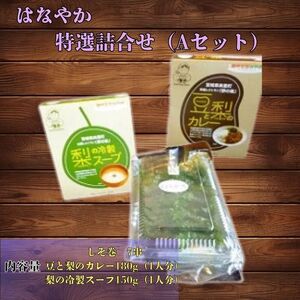 はなやか特選詰合せ（Ａセット）【hnyk001】