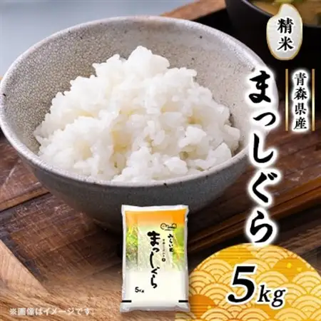 まっしぐら　精米5kg×1袋_ 精米 米 _【配送不可地域：離島・沖縄県】【1135483】