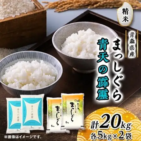 青天の霹靂・まっしぐら　精米　計20kg(各5kg×2袋)_ 精米 米 _【配送不可地域：離島・沖縄県】【1135490】