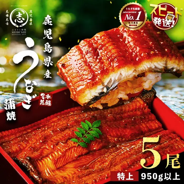 鹿児島県産うなぎ蒲焼 名水慈鰻 特上5尾(1尾190g以上)＜計950g以上＞ うなぎ 鰻 ウナギ 5尾 国産 九州産 蒲焼き かばやき 冷凍 うな重 ひつまぶし タレ 山椒 ランキング 人気 c15-001
