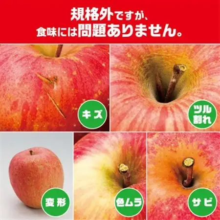 今年も約10kgお届けします!　訳ありりんご「サンふじ」24～46個入【R8年12月中旬～発送開始】_りんご 林檎 訳あり フルーツ 果物 くだもの 傷 規格外 青森県 10kg 人気 おすすめ 送料無料_【配送不可地域：離島・沖縄県】【1333055】