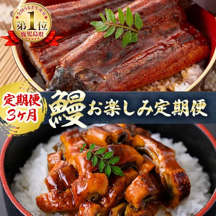【定期便全3回】うなぎお楽しみ便！ t0047-002