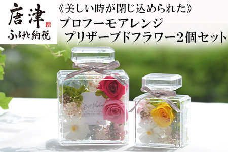 《美しい時が閉じ込められた》プロフーモアレンジ2個セット プリザーブドフラワー インテリア 置物 かわいい おしゃれ ハンドメイド 贈り物 ギフト 誕生日 枯れないお花