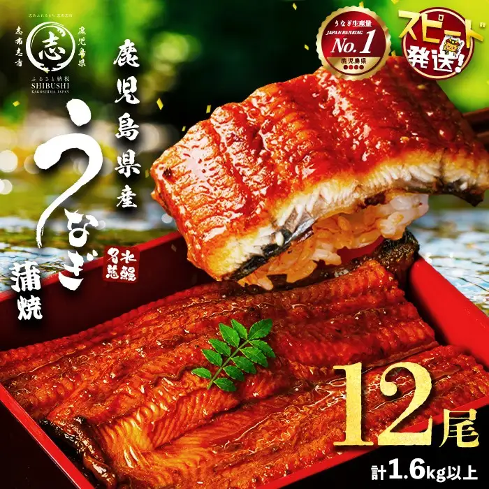 【数量限定】鹿児島県産うなぎ蒲焼 名水慈鰻 12尾(1尾約120g以上)＜計約1.6kg以上＞ うなぎ 鰻 ウナギ 国産 鹿児島県産 九州産 蒲焼き 冷凍 うな重 ひつまぶし f2-003