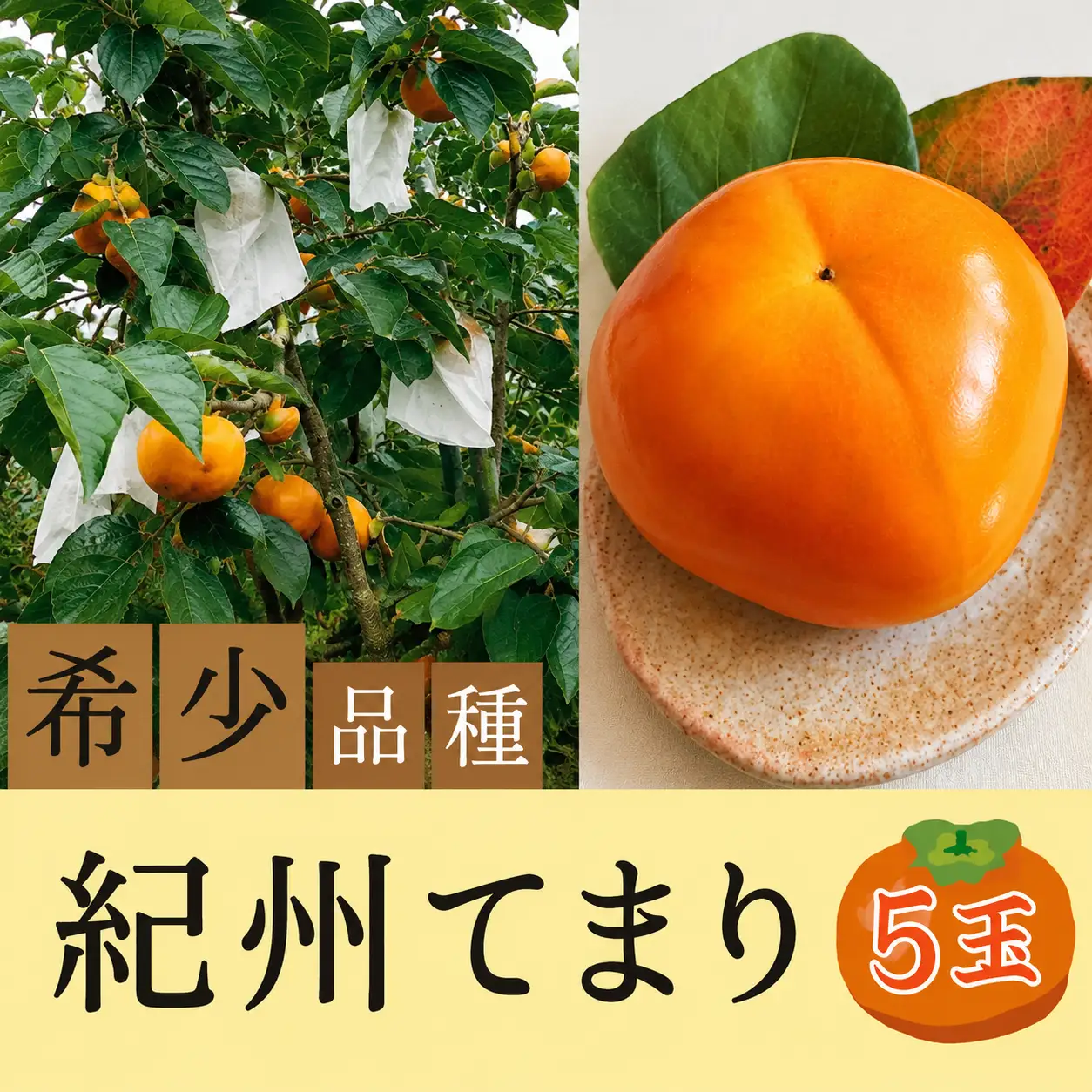 柿 希少品種の柿〇紀州てまり〇5玉化粧箱入り【2026年10月下旬以降発送】【A230-frks126】