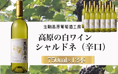 【高原の白ワイン】シャルドネ（辛口）　1ダース 国産ワイン シャルドネワイン 小林ワイン 1ダースワイン ギフトワイン