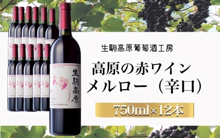 【高原の赤ワイン】メルロー　1ダース 国産ワイン メルローワイン 小林ワイン 1ダースワイン ギフトワイン