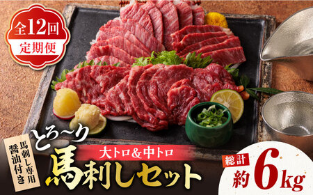 12回定期便サシが決めてトロ〜り馬刺しセット計約500g醤油付き 霜降り馬刺しZBK018