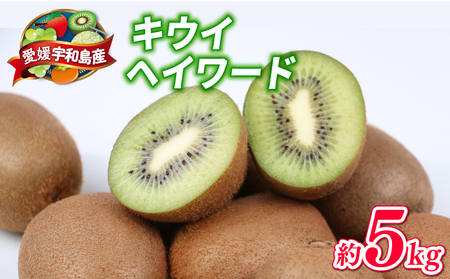 【キウイ】キウイ フルーツ 5kg 吉田農園 家庭用 | F014-160001