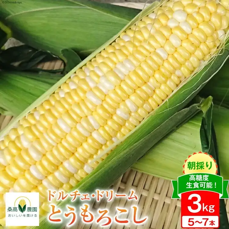 【期間限定発送】夢のような美味しさ！生食可能 高糖度 とうもろこし ドルチェ・ドリーム 3kg (5～7本) [桑高農園 静岡県 吉田町 22424250]