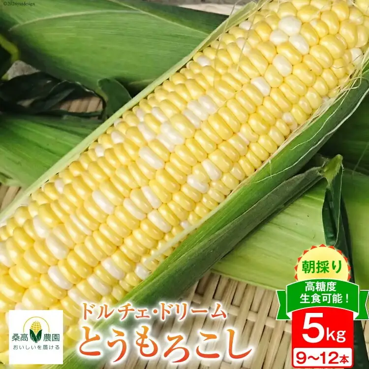 【期間限定発送】夢のような美味しさ！生食可能 高糖度 とうもろこし ドルチェ・ドリーム 5kg (9～12本) [桑高農園 静岡県 吉田町 22424251]