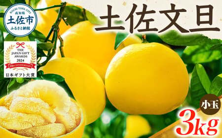 【先行予約】【日本ギフト大賞2024受賞】園主こだわりの土佐文旦3キロ 小玉（L～Mサイズ） 2027年1月下旬より順次発送 家庭用 贈答用 ぶんたん ブンタン 柑橘 みかん【やの一果彩】 [BQAC016]