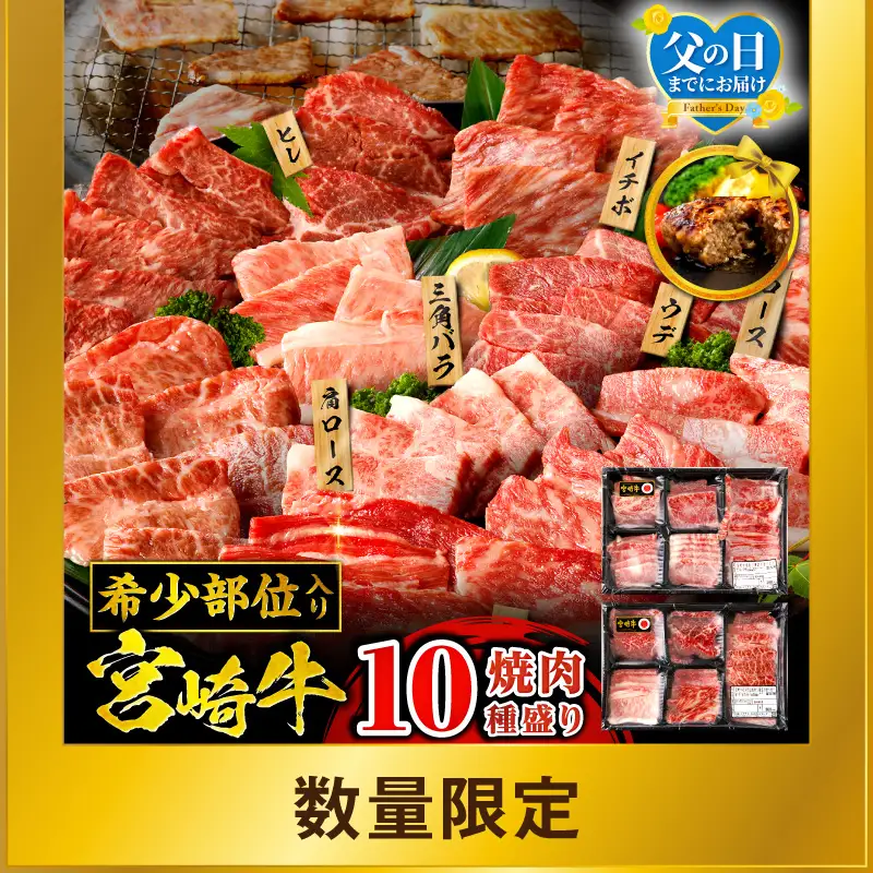 牛肉 宮崎牛 焼肉 10種セット 900g 牛肉 期間限定[畜産農家応援！]
