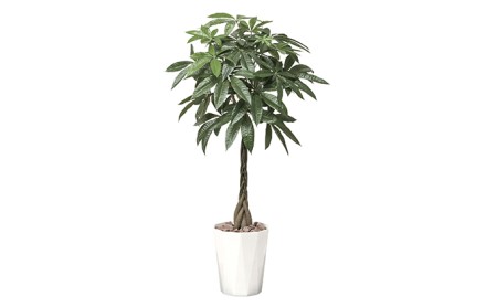 光の楽園　パキラ1.25【配送不可：北海道・沖縄・離島】 雑貨 日用品 植物 造花