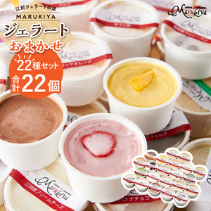 【合計 22個】ジェラートおまかせ 22種セット EB8-0289